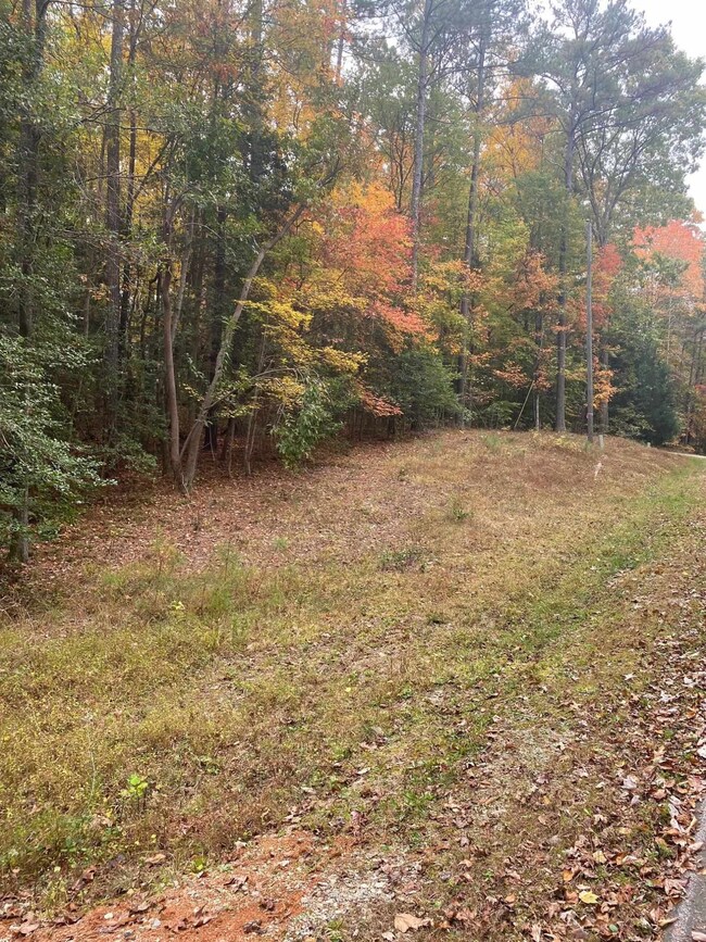 117 Santee Dr, Louisburg, NC 27549 - photo 6