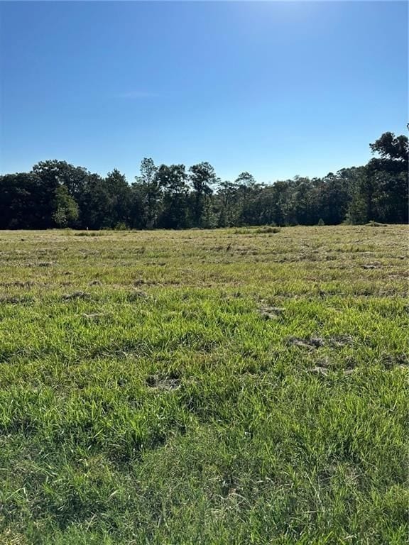 0 Hampton Rd unit 24516393, Mobile, AL 36608 - photo 6