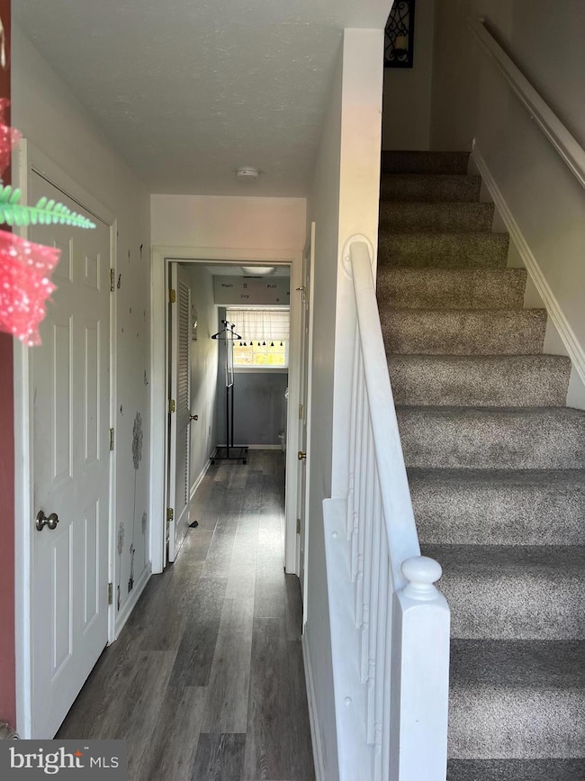 102 Zephyr Ln, Winchester, VA 22602 - photo 6