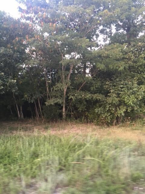 Lots 7-13 Foxcroft Estates Dr, Ruth B Rural Township, MO 65686 - photo 6