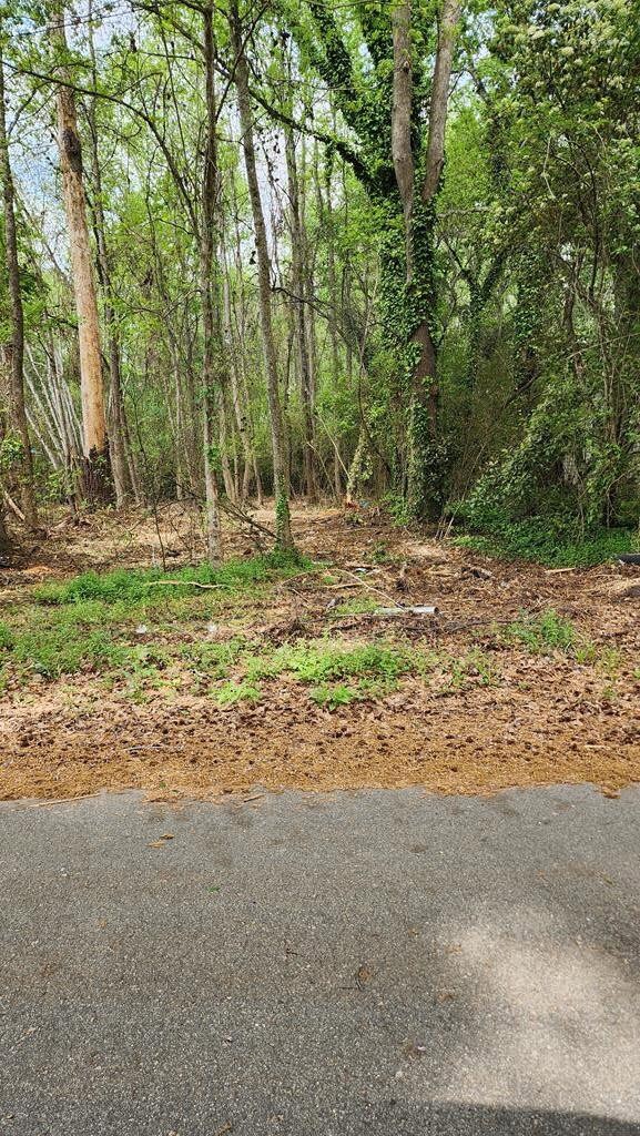 120 Joyner, Eastover, SC 29044 - photo 6