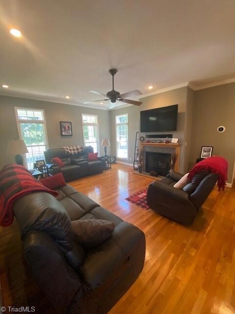 531 Shingle Gap Rd, Purlear, NC 28665 - photo 4