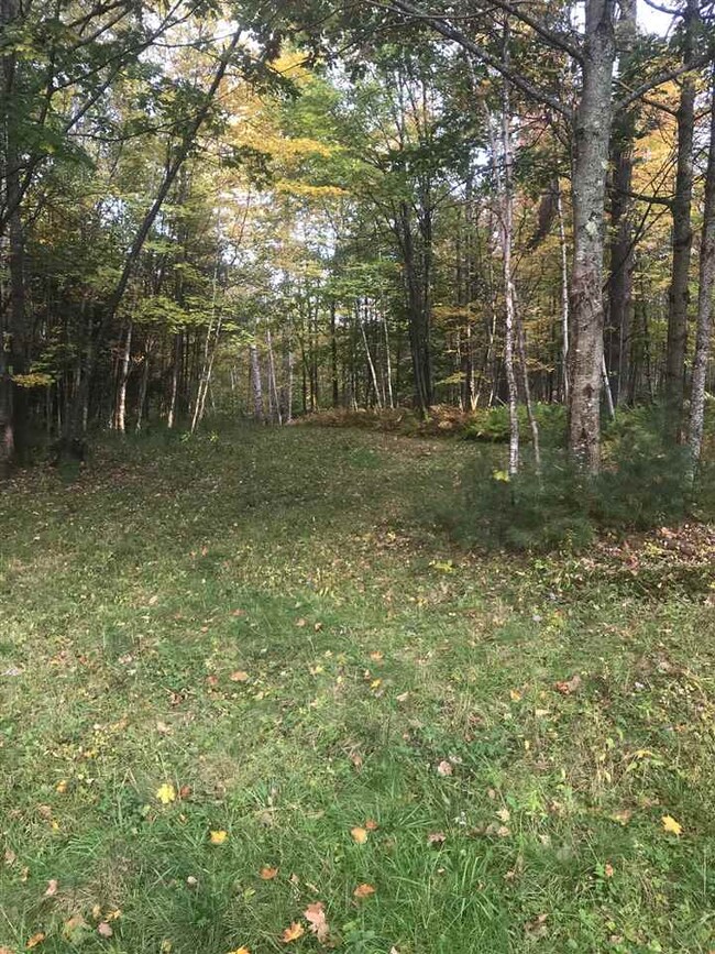 00-B Pinneo Hill Rd, Hanover, NH 03755 - photo 5