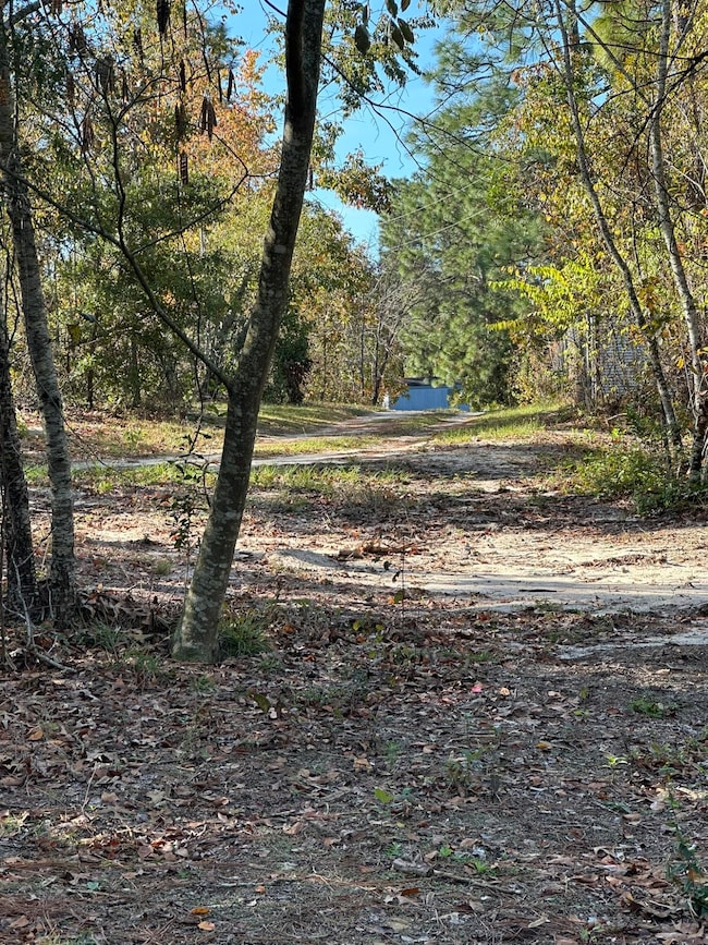 3009 Camp Josey Rd, Blythe, GA 30805 - photo 4