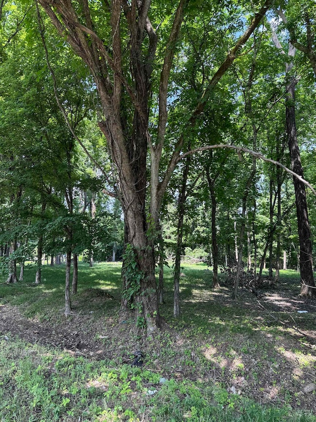 View of nature