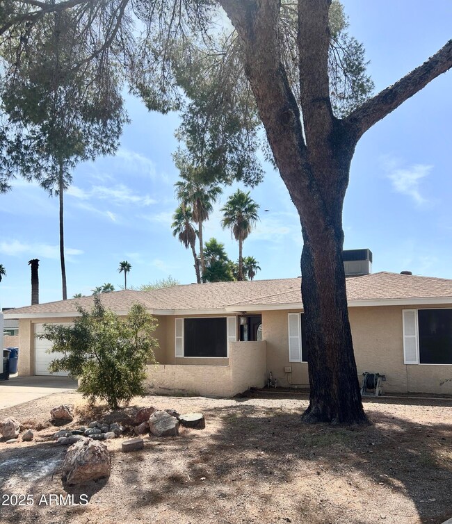 1304 E Hackamore St, Mesa, AZ 85203 - photo 4