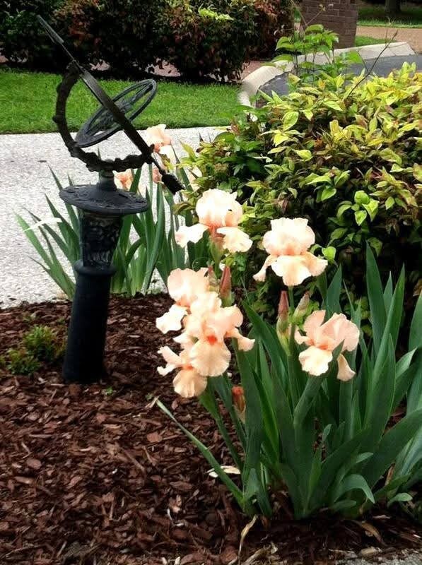 1128 Fairways unit 1128, Lebanon, TN 37087 - photo 4