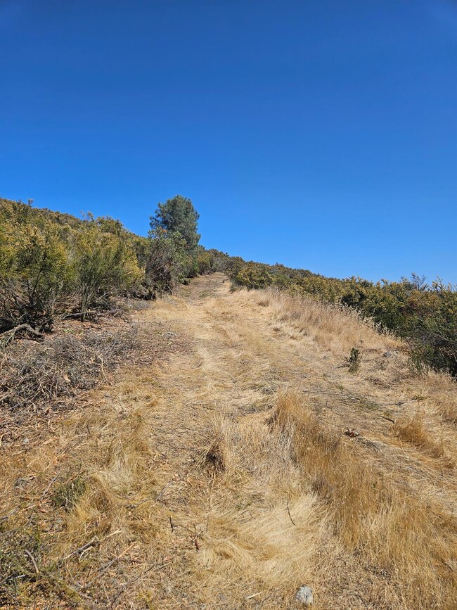 view from the top of the diveway