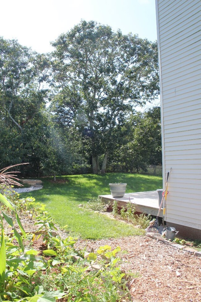Side yard with flower/vegetable beds