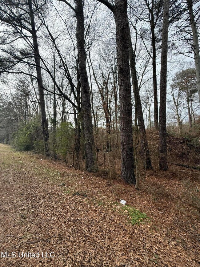 01 N Jordan St, Carthage, MS 39051 - photo 6