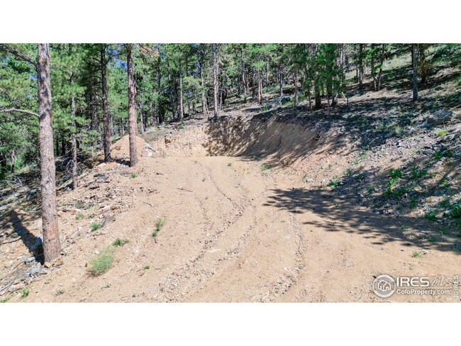 Driveway looking up towards site pad.