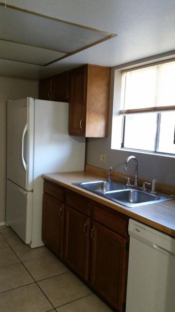 1120 Kitchen sink