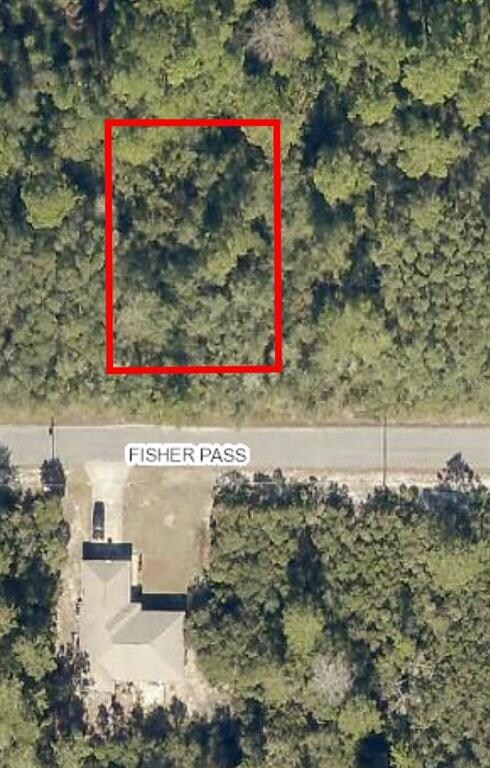 4 Fisher Trace, Ocklawaha, FL 32179 - photo 3