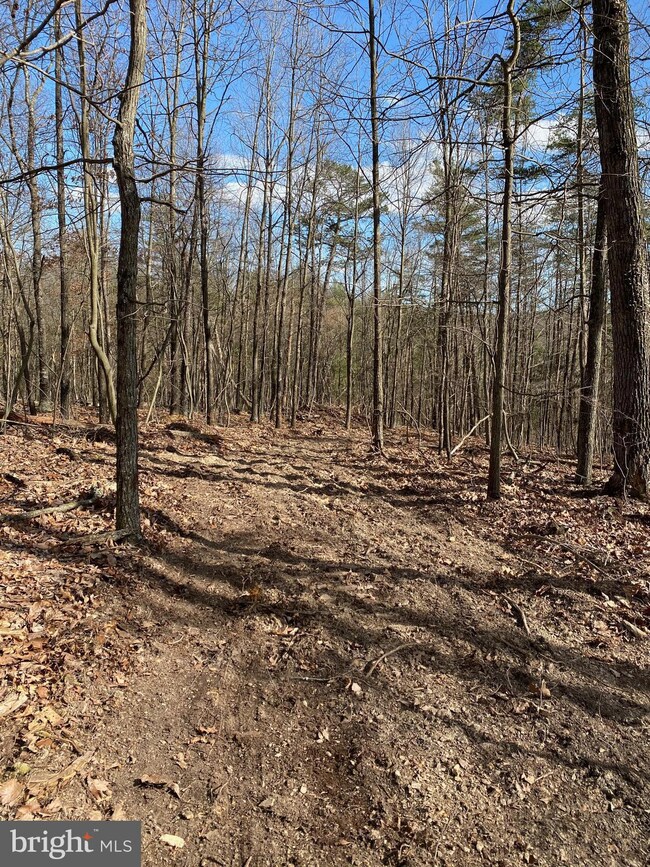 24 Pine Crest Ln, Winchester, VA 22603 - photo 6