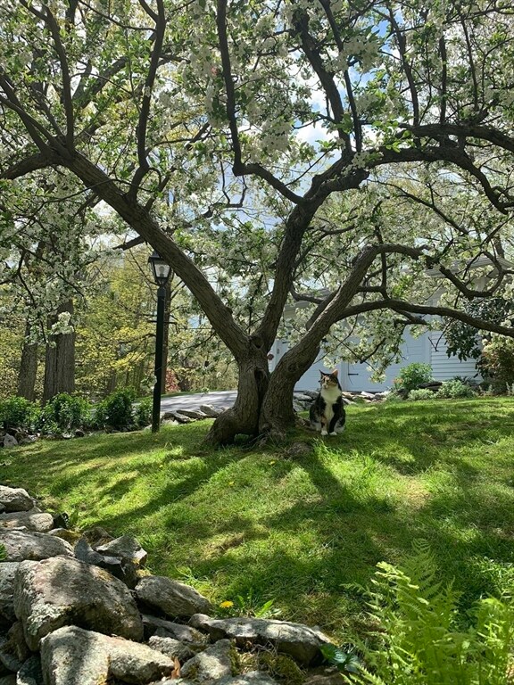 49 Flagg Rd, Southborough, MA 01772 - photo 4