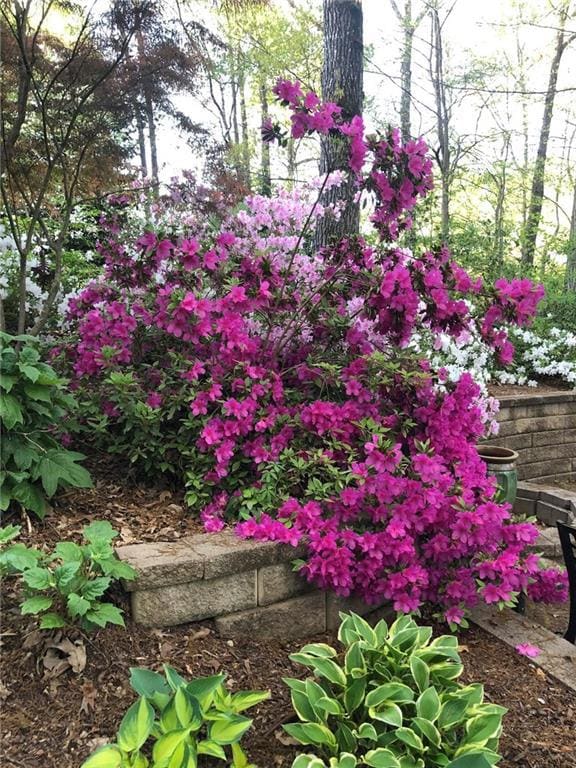 8665 Steeple Chase Dr, Roswell, GA 30076 - photo 5