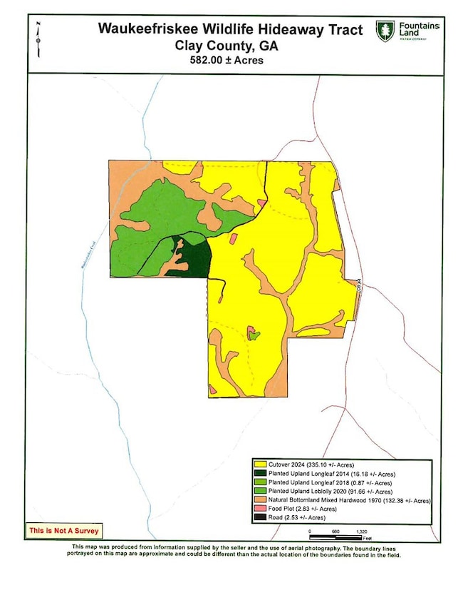 TBD Bethel Rd, Ft. Gaines, GA 39851 - photo 4