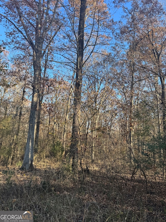 2661 Oakley Trail, Statham, GA 30666 - photo 3