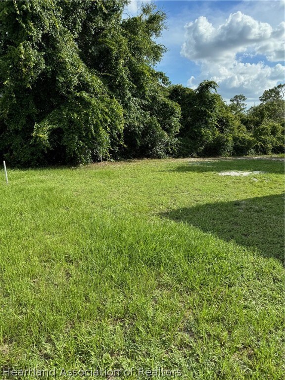 1425 Jersey St NE, Lake Placid, FL 33852 - photo 5