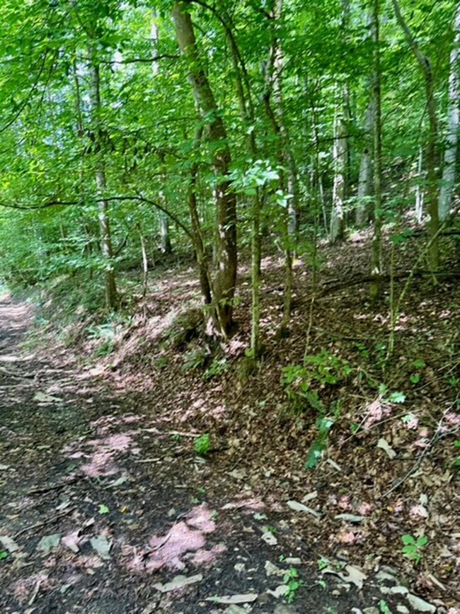 0 Chapel Hollow, Argillite, KY 41144 - photo 6