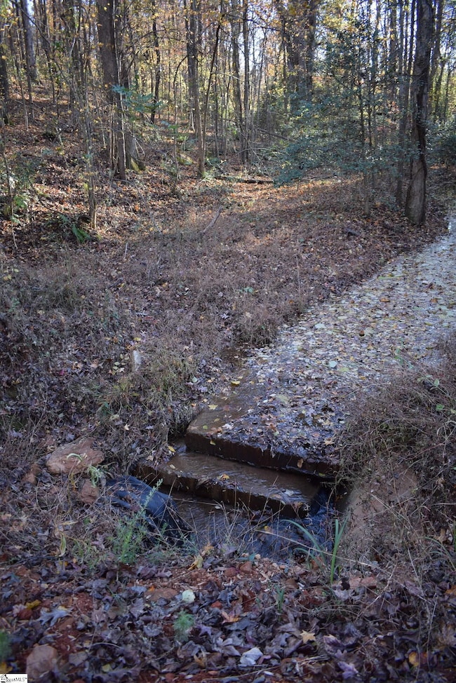 5231 Highway 11, Inman, SC 29349 - photo 7