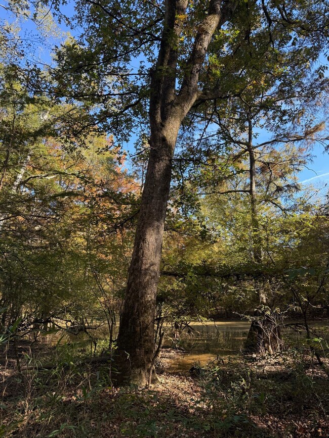 0 Highway 19 unit 25580670, Kosciusko, MS 39090 - photo 7