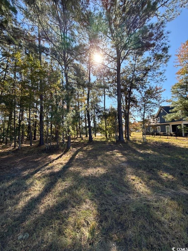 2405 Gist Ln, Myrtle Beach, SC 29588 - photo 4