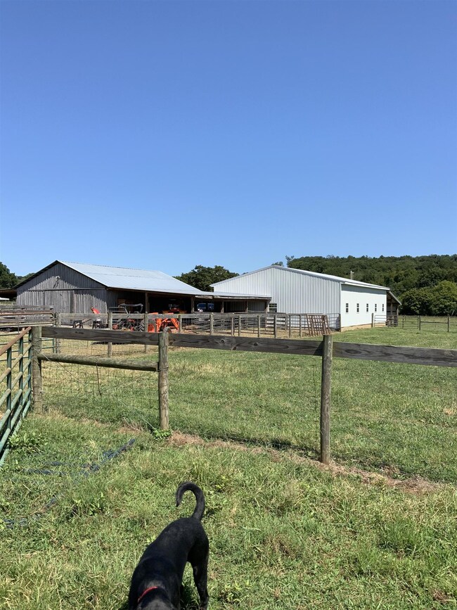 950 New Hope Rd, Shelbyville, TN 37160 - photo 7