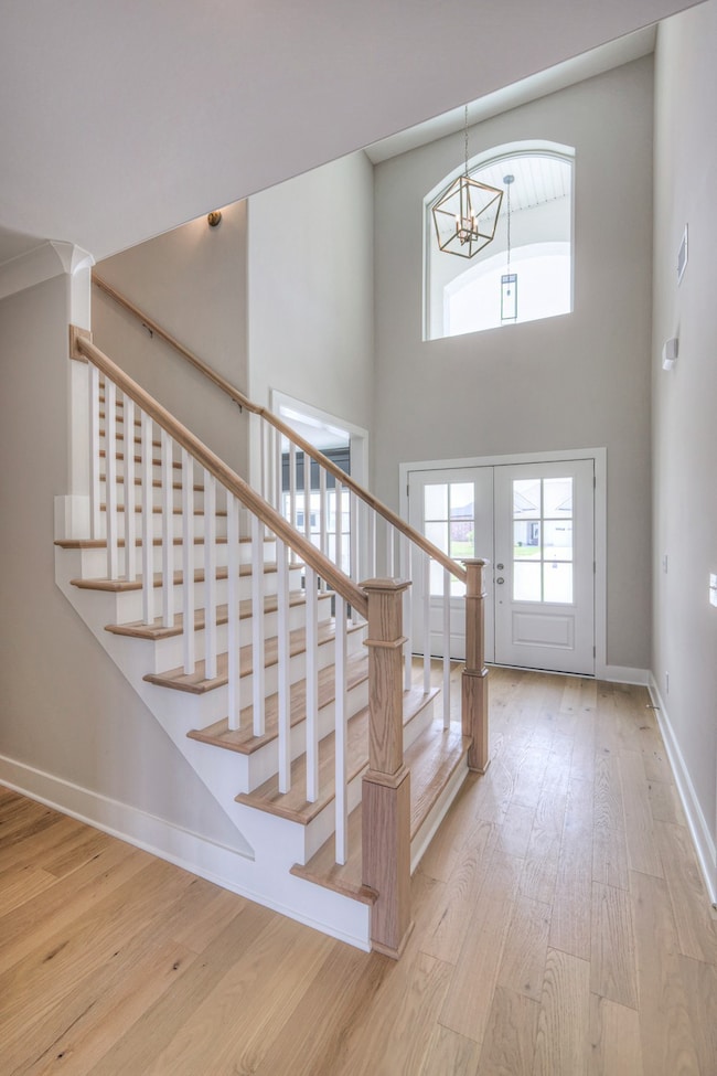 4113 Cile Ct, Murfreesboro, TN 37127 - photo 7