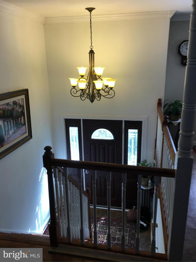 10034 Dubarry St, Glenn Dale, MD 20769 - photo 3