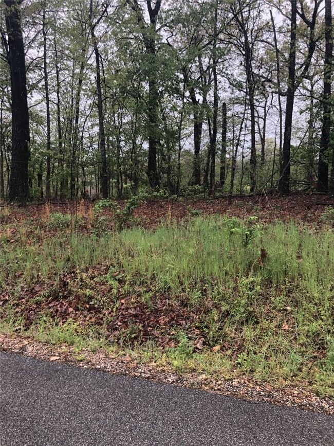 0 Charlene Ln unit 1182101, Bella Vista, AR 72715 - photo 2