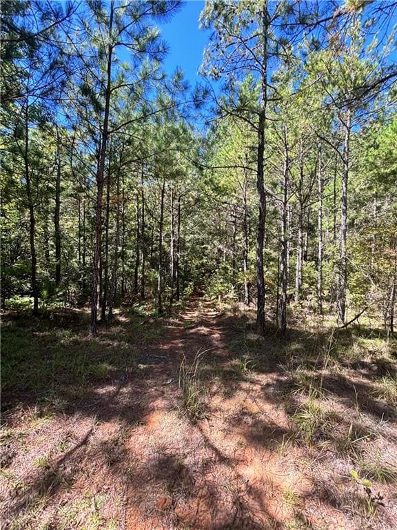 178 Whitetail Rd, Seale, AL 36875 - photo 2