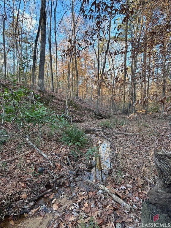 000 Lower River Rd, Covington, GA 30016 - photo 5