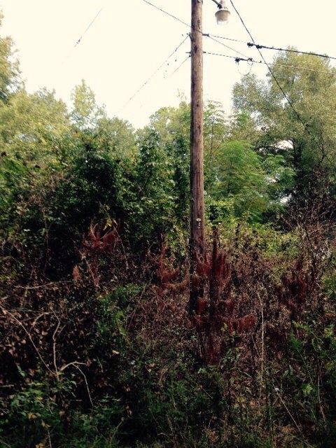 5078 Hardy McManus Rd, Evans, GA 30809 - photo 2