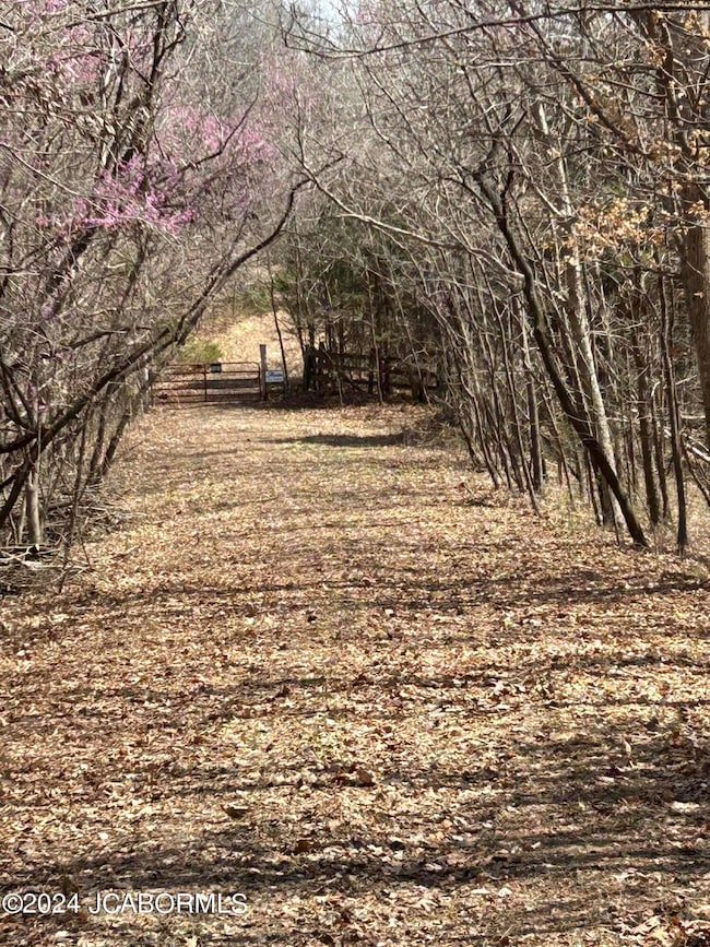 633 Emerald Point Rd, Summit Township, MO 65039 - photo 4