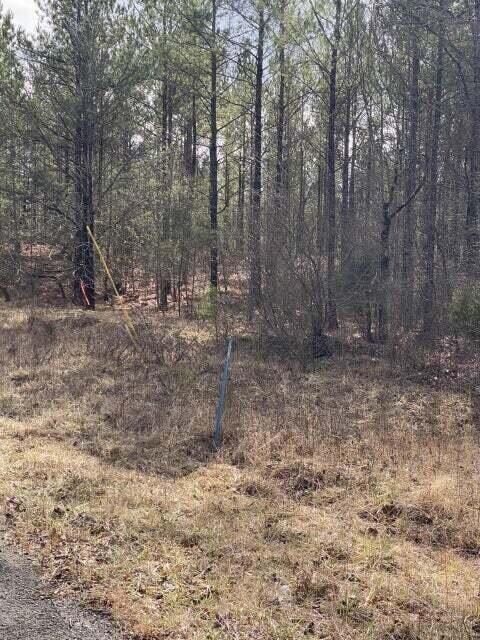 Lot 14 Thomas Springs Rd, Crossville, TN 38572 - photo 3