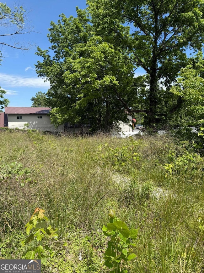 LT 19 E 2nd St, Blue Ridge, GA 30513 - photo 3