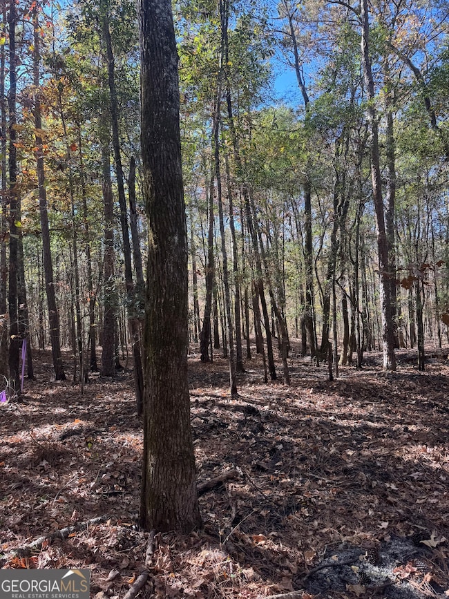 4517 Georgia 18, West Point, GA 31833 - photo 4