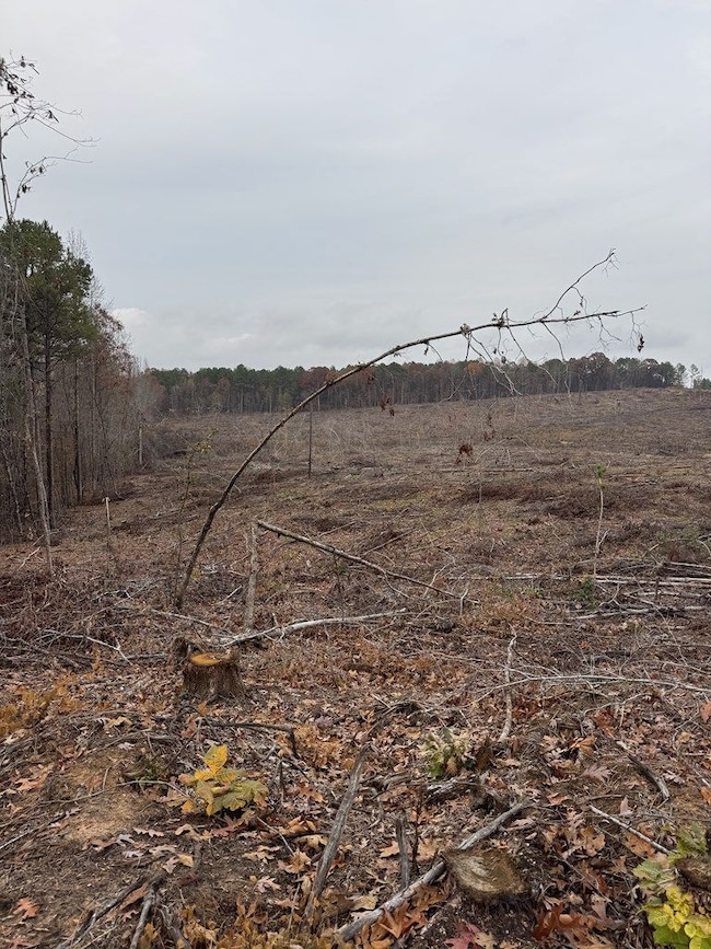 606 County Road 442, Oxford, MS 38655 - photo 2
