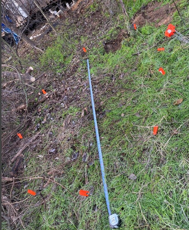 4009 Diann Dr, Granbury, TX 76049 - photo 7