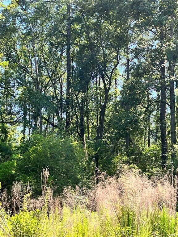 BEHIND THIS VIEW IS THE TAMMANY TRACE BIKE PATH ACCESS