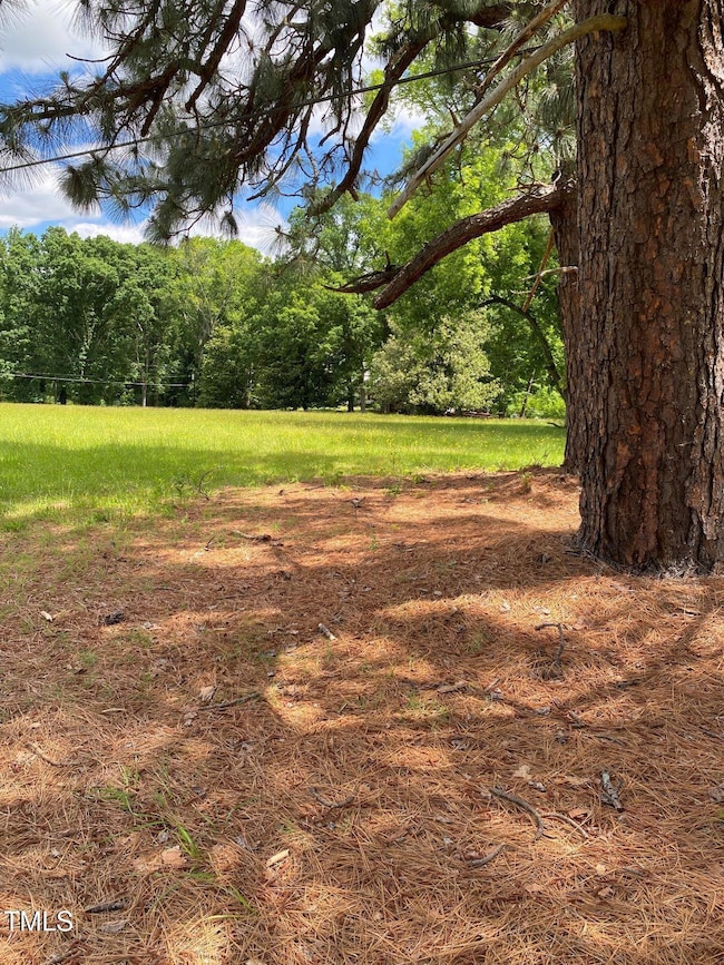 Front yard