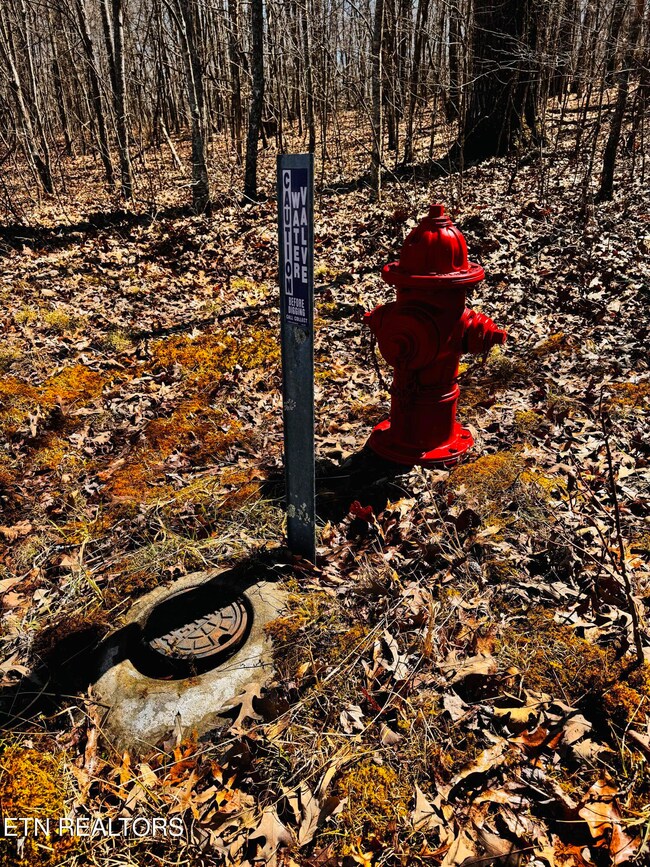 Water on Property