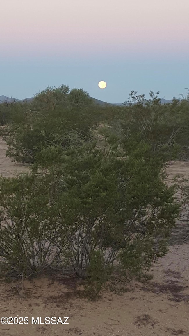 Moon view