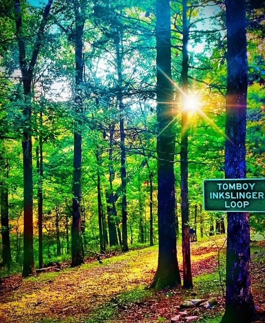 342 Lightning Ridge, Eureka Springs, AR 72632 - photo 2