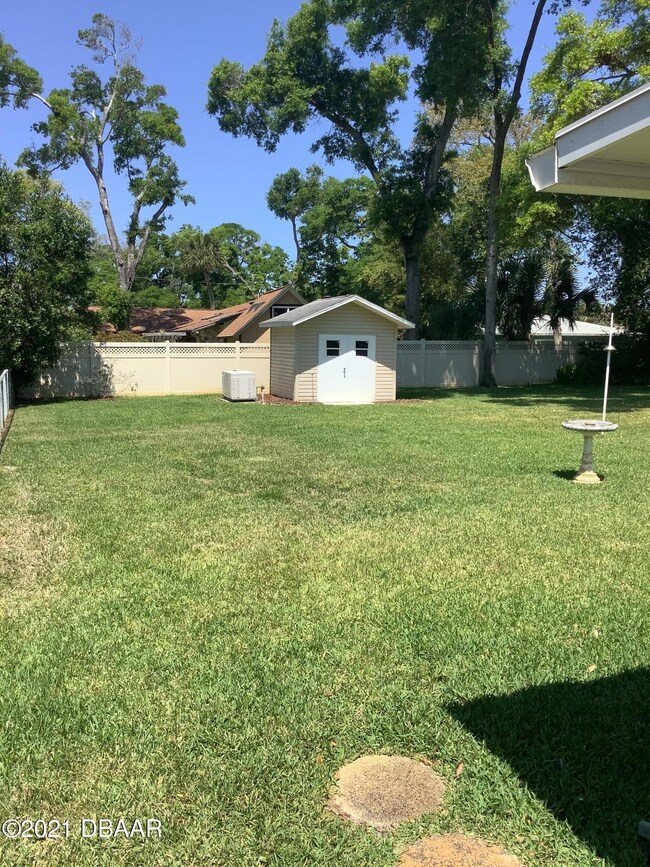 Back yard