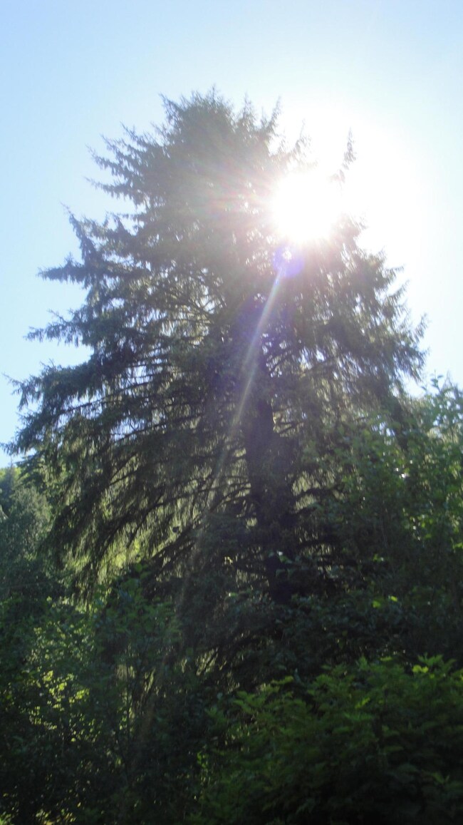 0 Miami Foley Rd unit 16-552, Nehalem, OR 97131 - photo 4