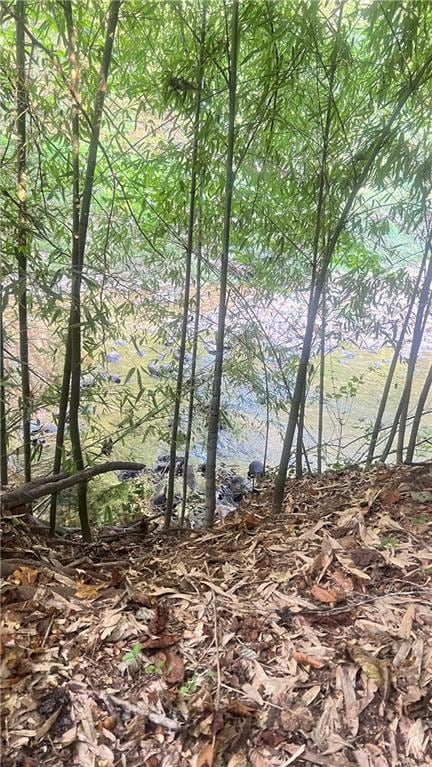 View of stream behind house