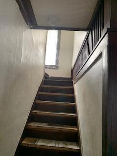 IMG_1611 (1)