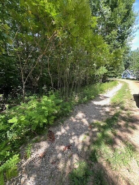 V/L National Pkwy unit 25, Chikaming Township, MI 49129 - photo 4